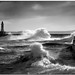 Linda Harbour Photo 13