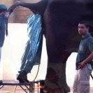 Shane Pulsipher Photo 4