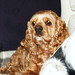 Bridgette James Photo 26