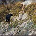 Tracy Bear Photo 29