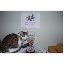 Christine Couture Photo 26