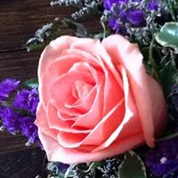 Carol Randall Photo 34