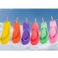 Debbie Dotson Photo 23