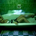 Ana Zambrano Photo 40