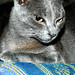 Adora Becker Photo 3