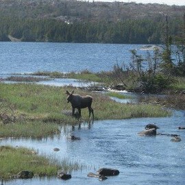 Colin Mcconnell Photo 12