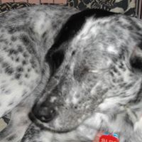 Jason Hermann Photo 24