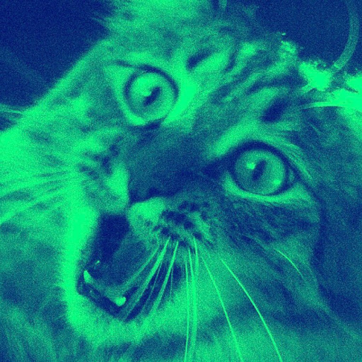 Danielle Knapp Photo 9