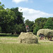 Debbie Hays Photo 1
