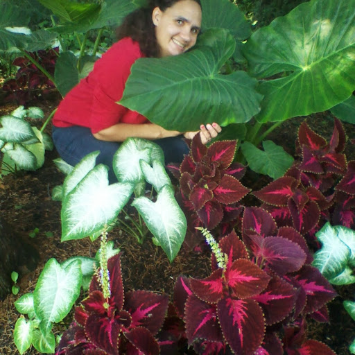 Teresa Evans Photo 27