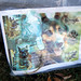 Jason Mcelroy Photo 18
