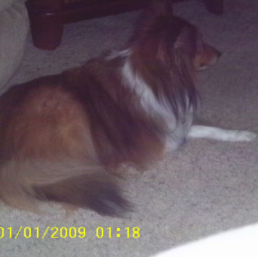 Elizabeth Rankin Photo 24