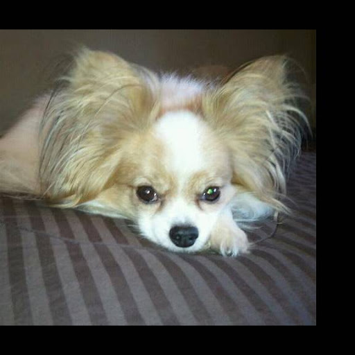 Shannon Krueger Photo 13