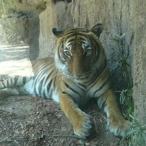 Anita Vaughan Photo 13