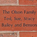 Sue Olson Photo 14