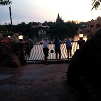 Rhonda Schultz Photo 8