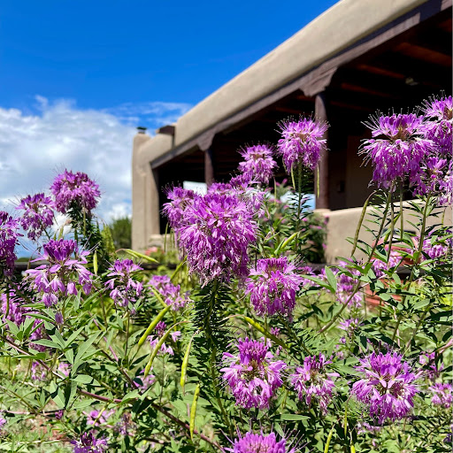 Sarah Green Photo 24 Sarah Green Photo 24