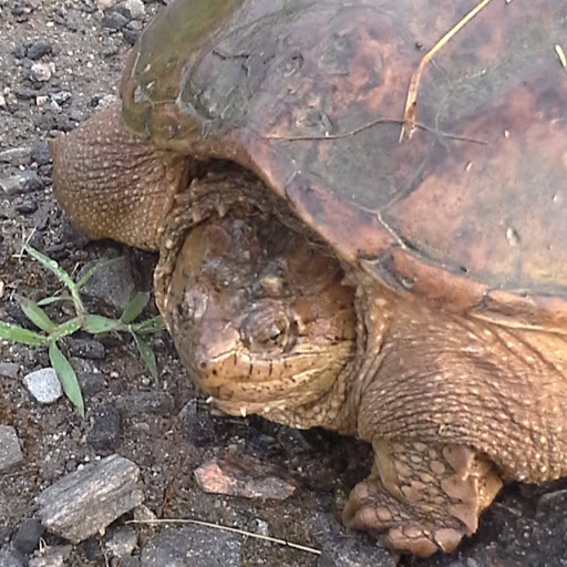 Michael Hatch Photo 19 Michael Hatch Photo 19