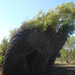 Susan Dougherty Photo 12
