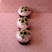 Debbie Cleary Photo 25