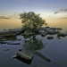 Richard Parks Photo 37