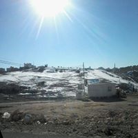 Ahmed Odeh Photo 8