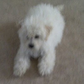 Sherry Rainey Photo 10