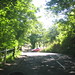 Joy Lane Photo 20