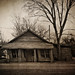 Tim Bigelow Photo 25