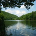 James Trout Photo 11
