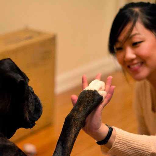 Amy Thatcher Photo 14