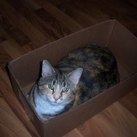 Bruce Randall Photo 12 Bruce Randall Photo 12