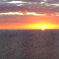 Debra Carver Photo 10