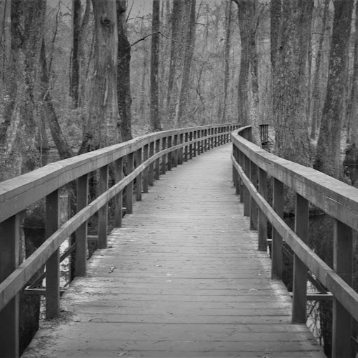 Brian Bridges Photo 26 Brian Bridges Photo 26