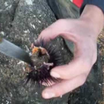 Stefan Hack Photo 10