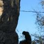 Shawn Cavanaugh Photo 8