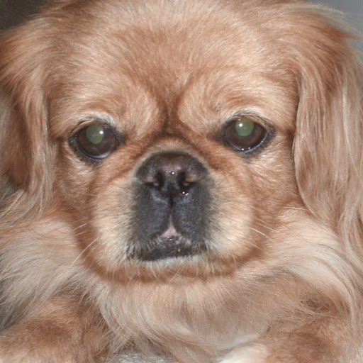 Kelli Myers Photo 15