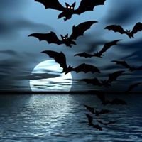 Katherine Nicholson Photo 36