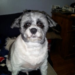 Edward Massa Photo 1