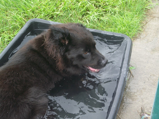 Kenneth Ross Photo 56 Kenneth Ross Photo 56