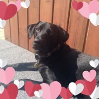 Stephanie Best Photo 29