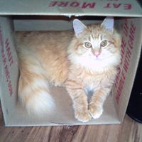 Betty Lyons Photo 28