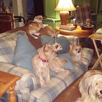Sheila Harvey Photo 26