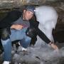 Raymond Dean Photo 11