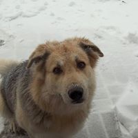 James Mcmullin Photo 38