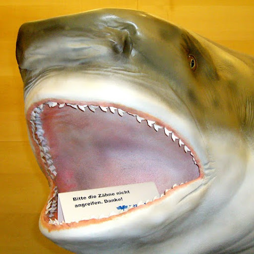 Arthur Haas Photo 14 Arthur Haas Photo 14