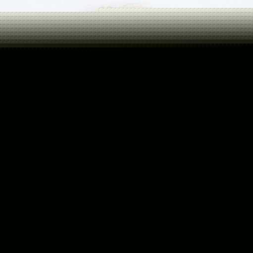 Cindy Swanson Photo 12