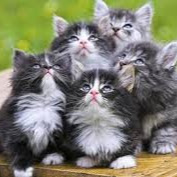 Julie Halvorson Photo 5