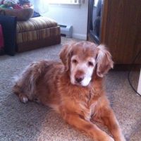 Ruth Brenner Photo 13