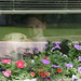 Kathryn Pence Photo 11